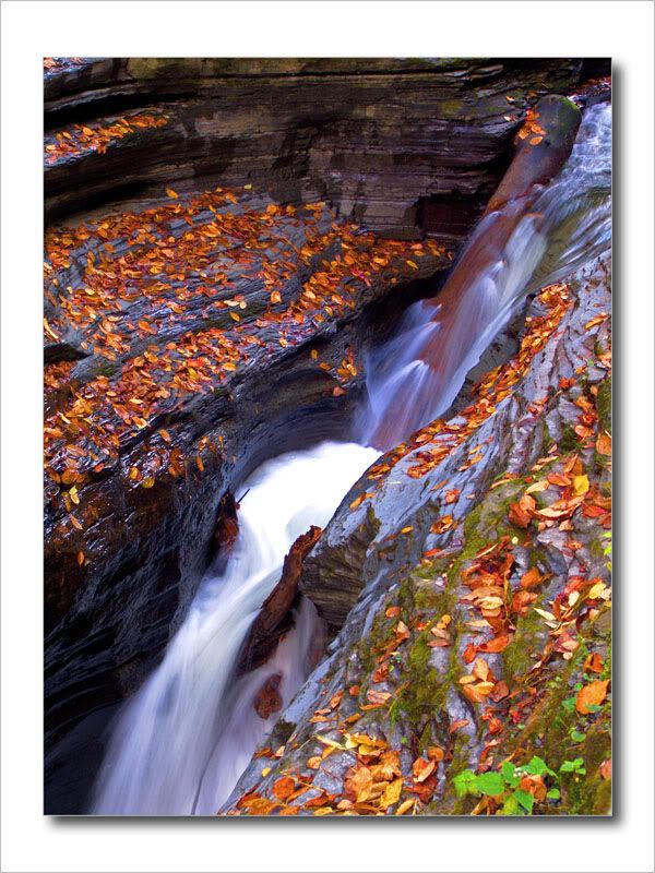 watkins glen fall colors (YES i still have a camera!) Sony Cybershot